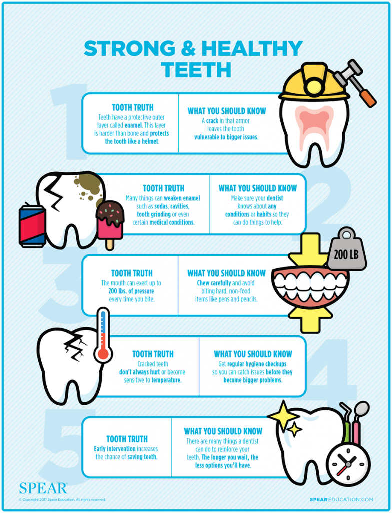 Strong & Healthy Teeth Infographic